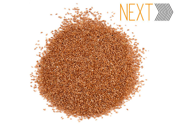 Teff Grain, Next Teff Grain, Next